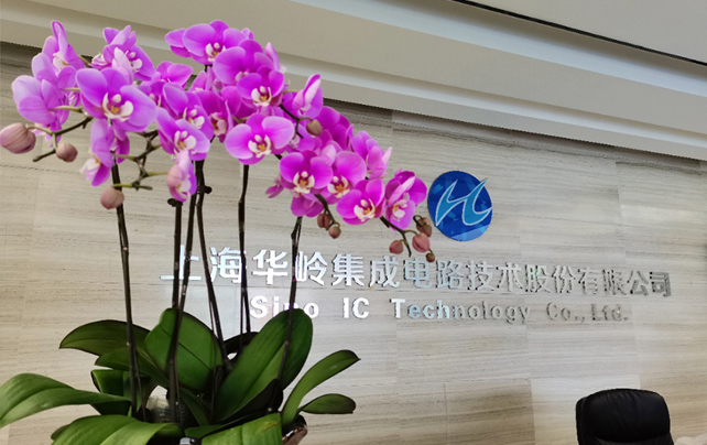 好久不见，allbet人！